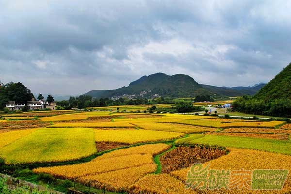 農(nóng)田固碳措施對溫室氣體減排影響的研究進展分析