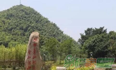 促進(jìn)我國(guó)CCER林業(yè)碳匯交易的建議