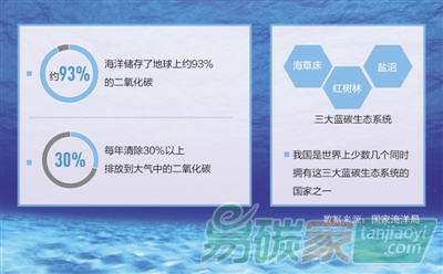 你知道“藍碳”是什么嗎？有多厲害？