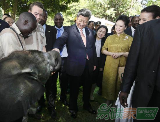 2015年12月2日，國家主席習(xí)近平在津巴布韋考察野生動物救助基地。新華社記者蘭紅光攝